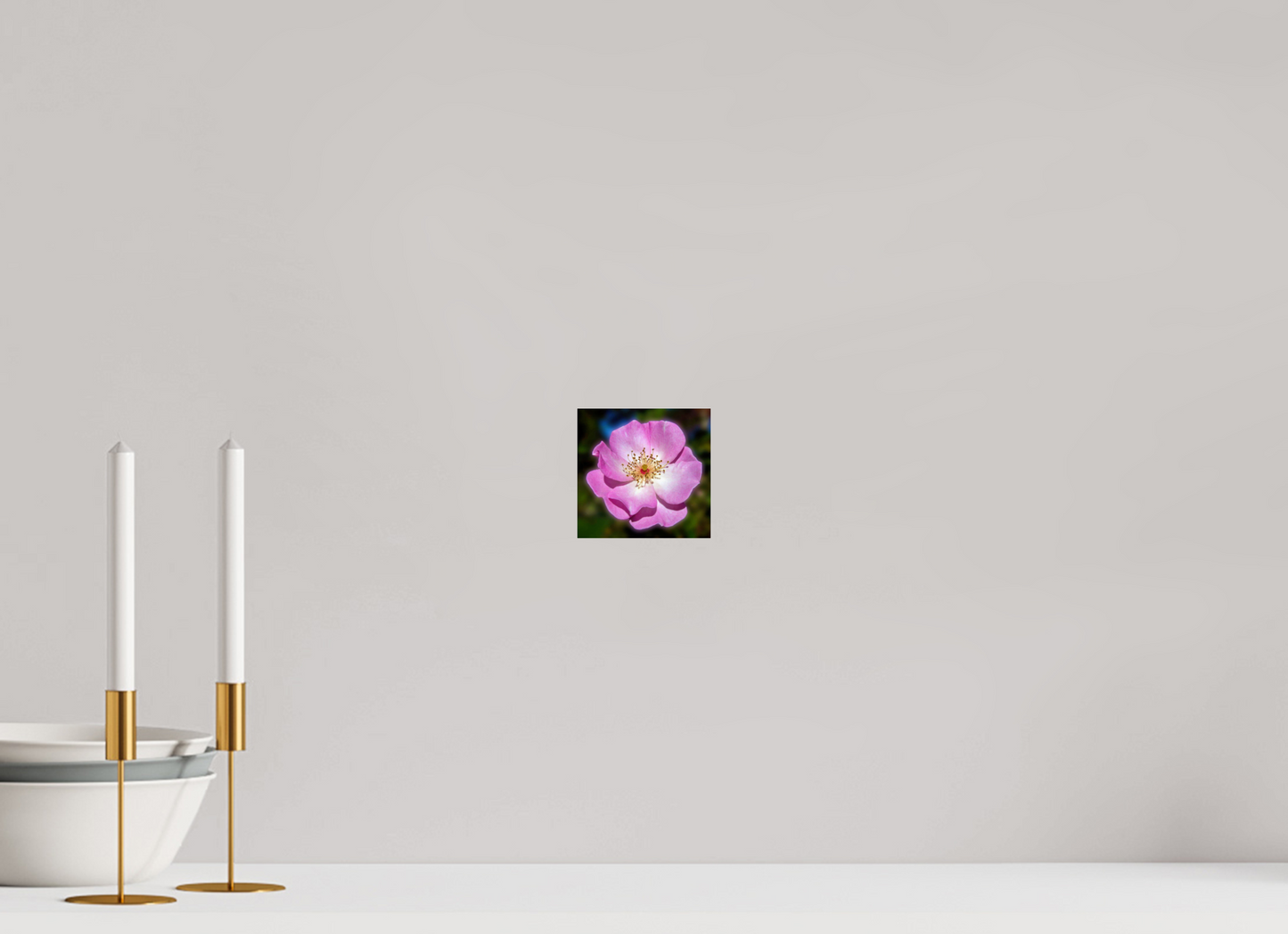CalPoly Rose - photo print under acrylic glass