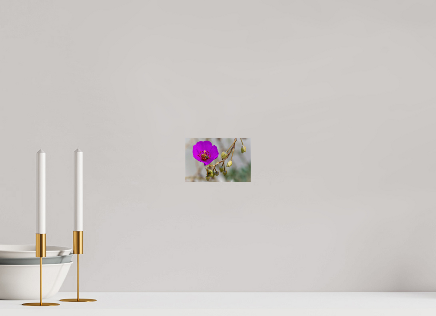 Bees' Work - photo print under acrylic glass