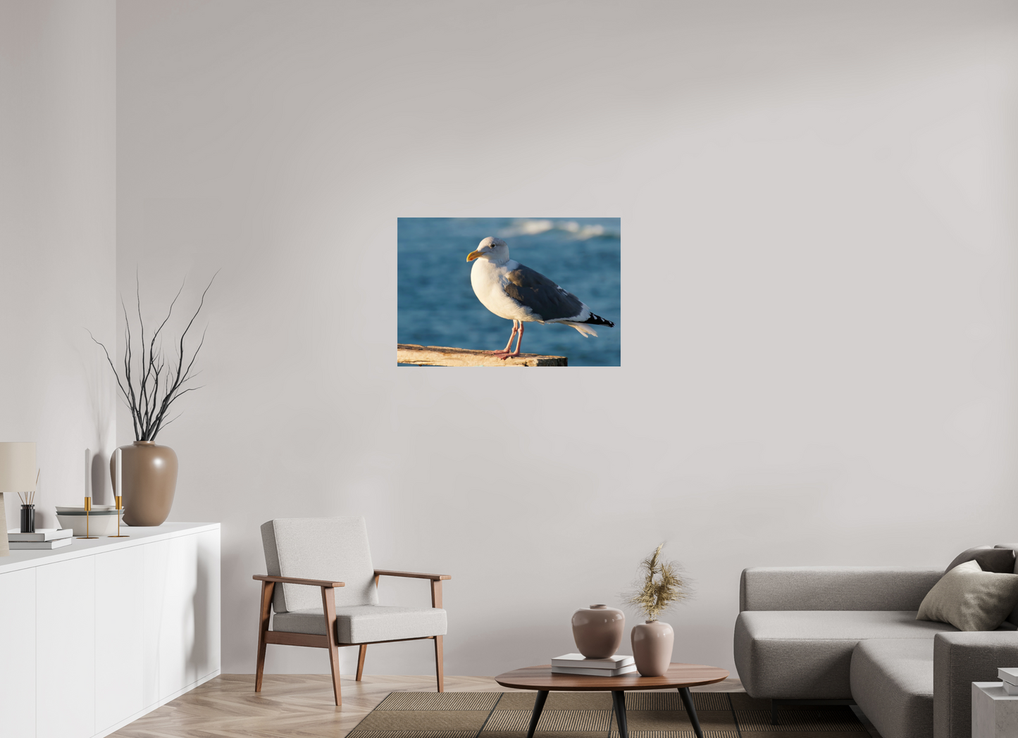 Admiral Gull - photo print under acrylic glass