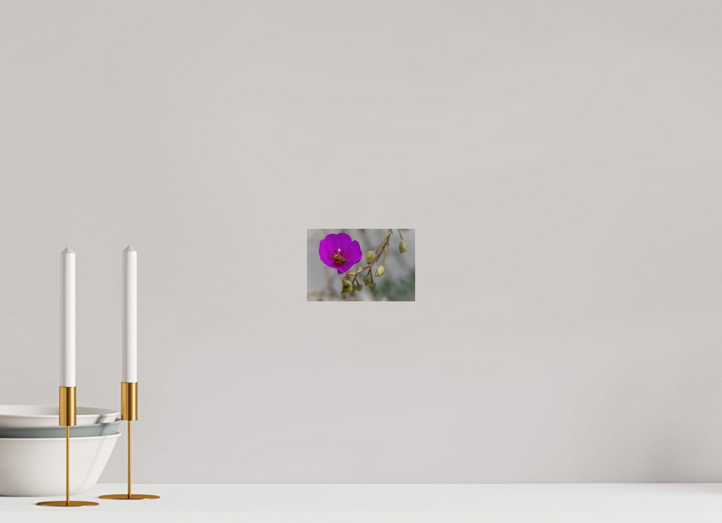 Bees' Work - photo print under acrylic glass