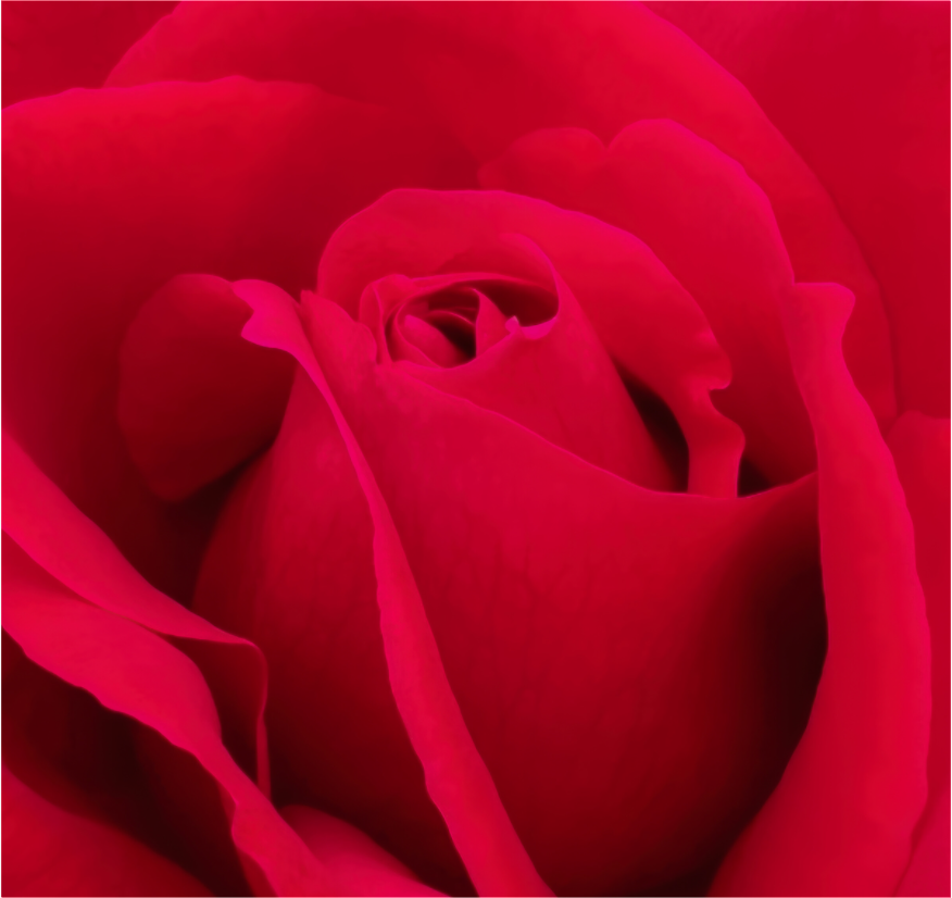 Seduction - photo print under acrylic glass