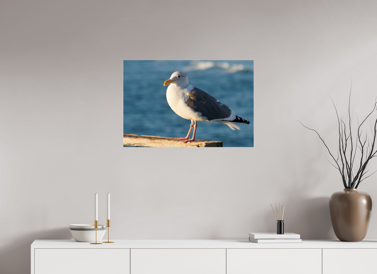 Admiral Gull - photo print under acrylic glass