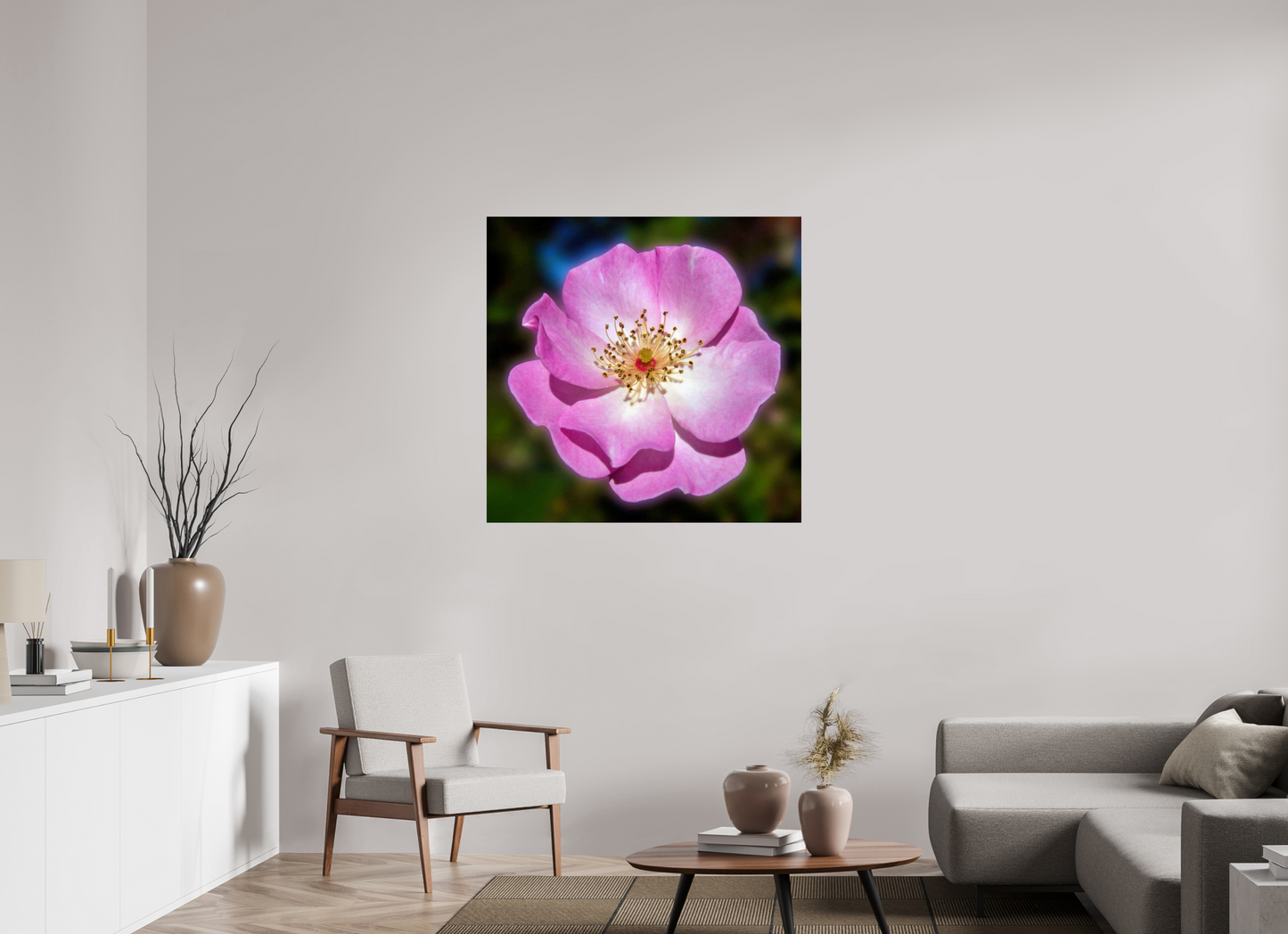 CalPoly Rose - photo print under acrylic glass