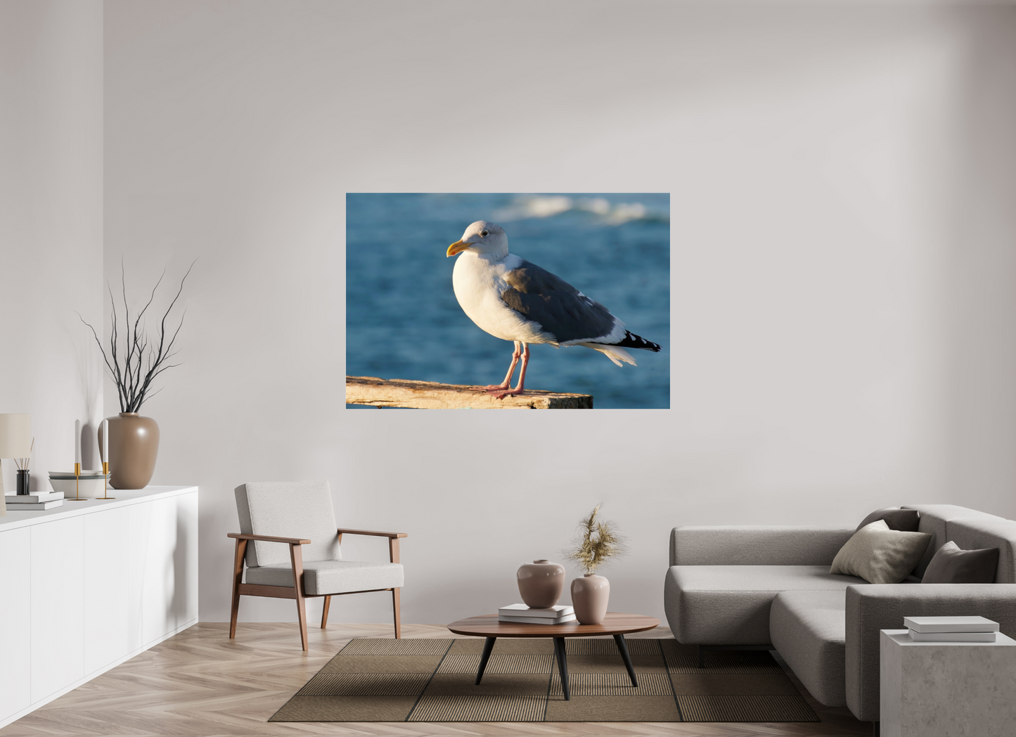 Admiral Gull - photo print under acrylic glass