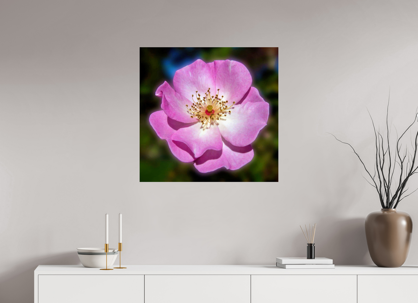 CalPoly Rose - photo print under acrylic glass