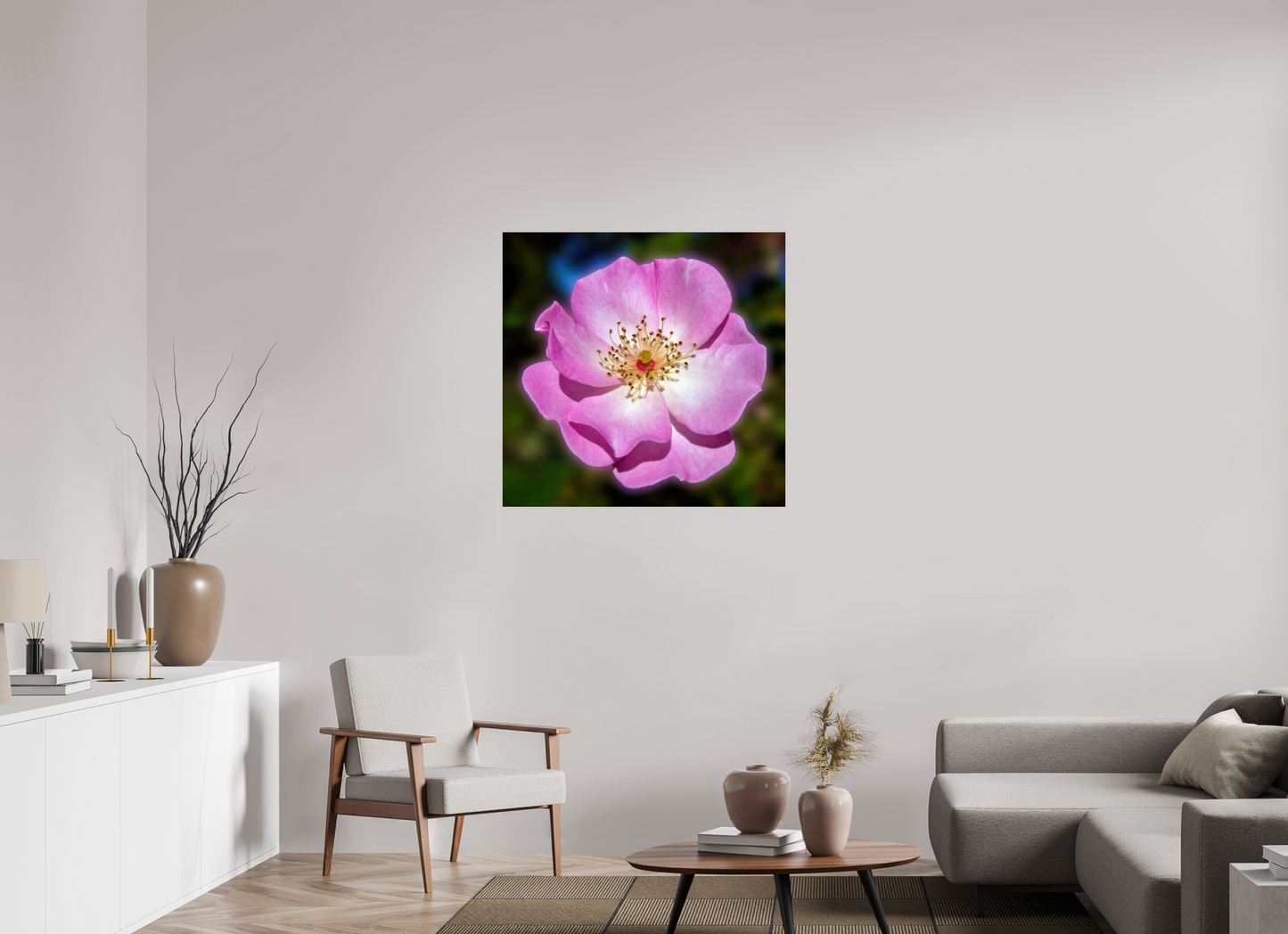CalPoly Rose - photo print under acrylic glass