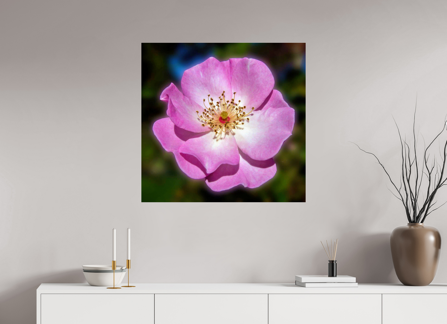 CalPoly Rose - photo print under acrylic glass