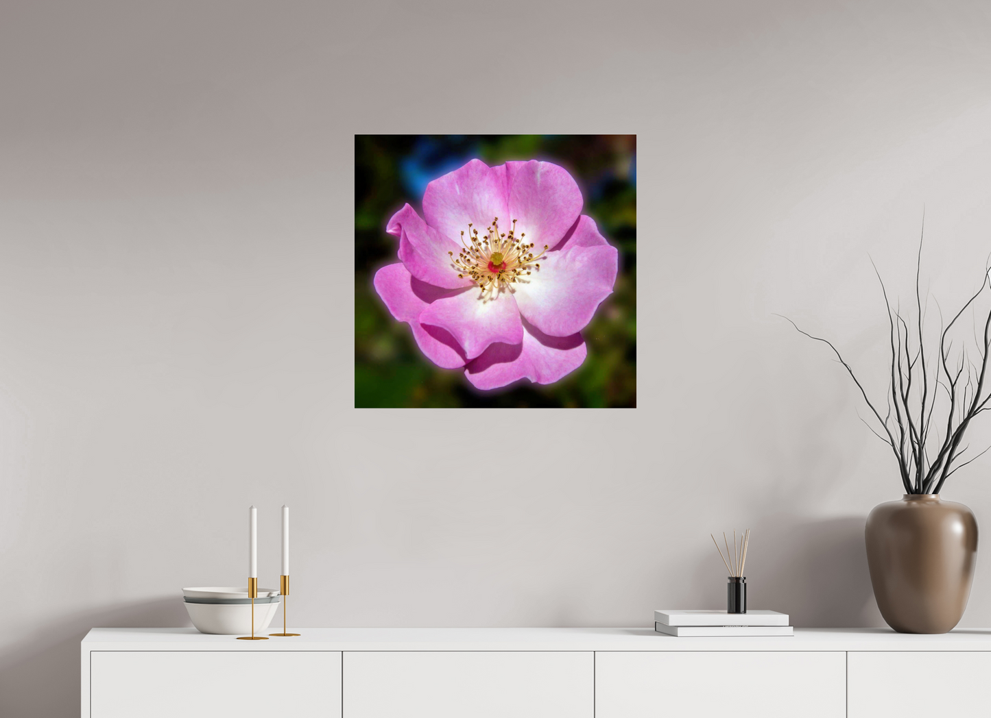 CalPoly Rose - photo print under acrylic glass