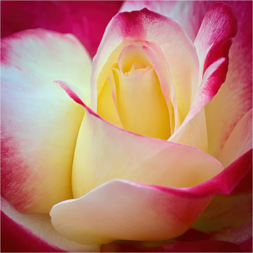 Open My Heart - photo print under acrylic glass