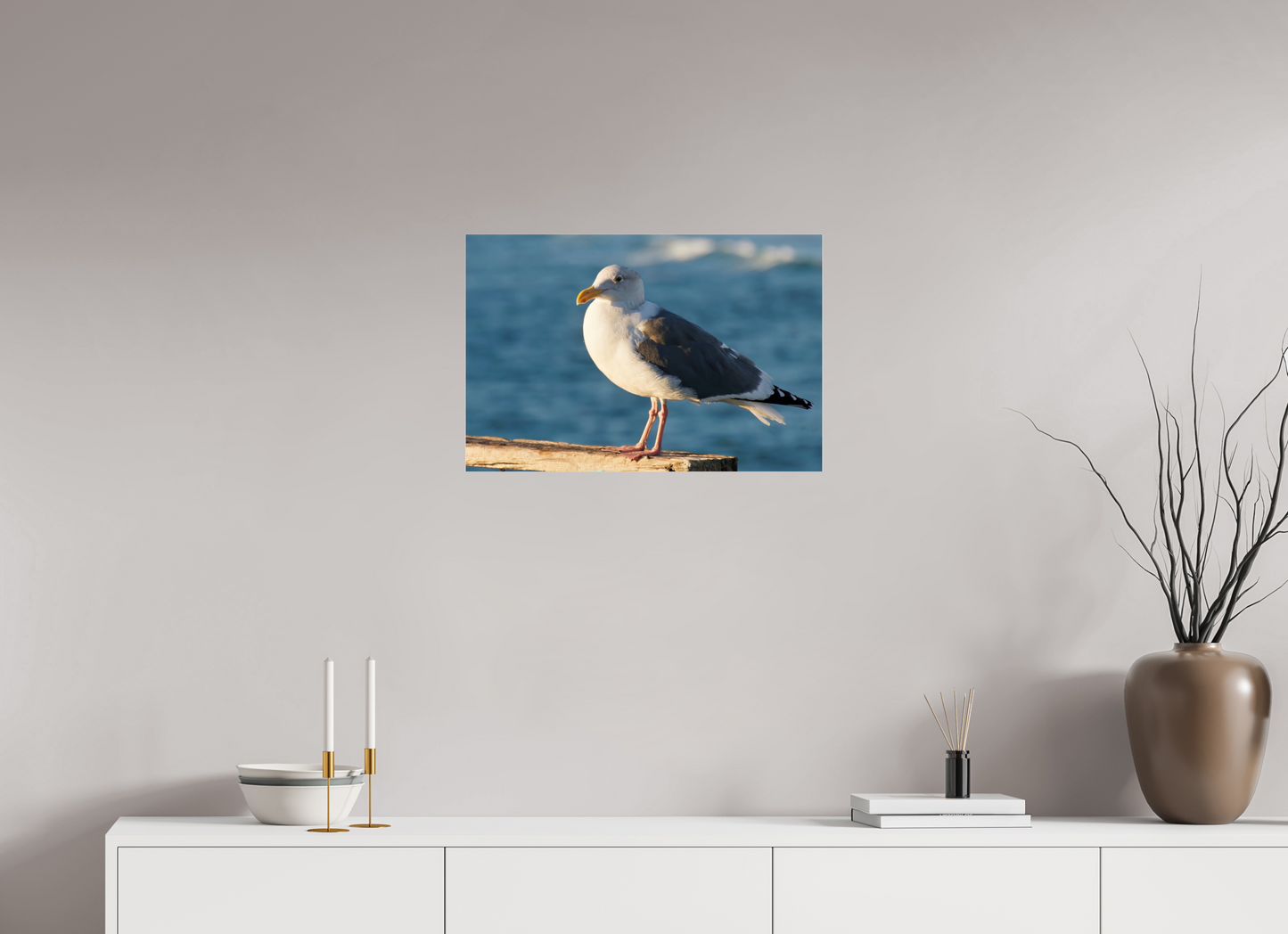 Admiral Gull - photo print under acrylic glass
