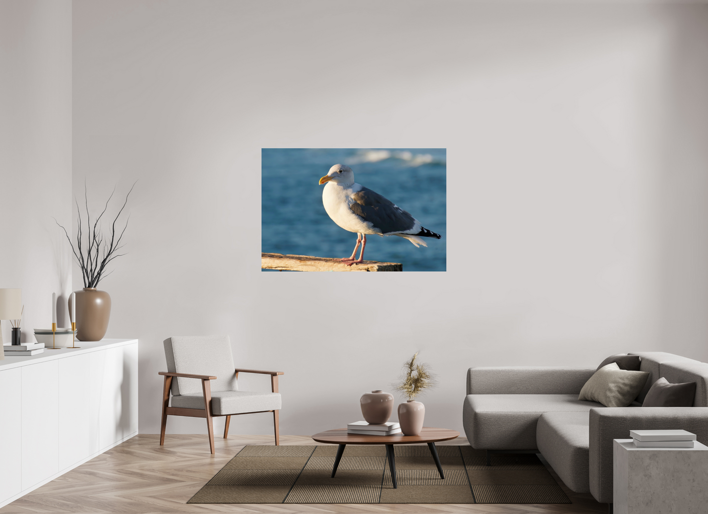 Admiral Gull - photo print under acrylic glass