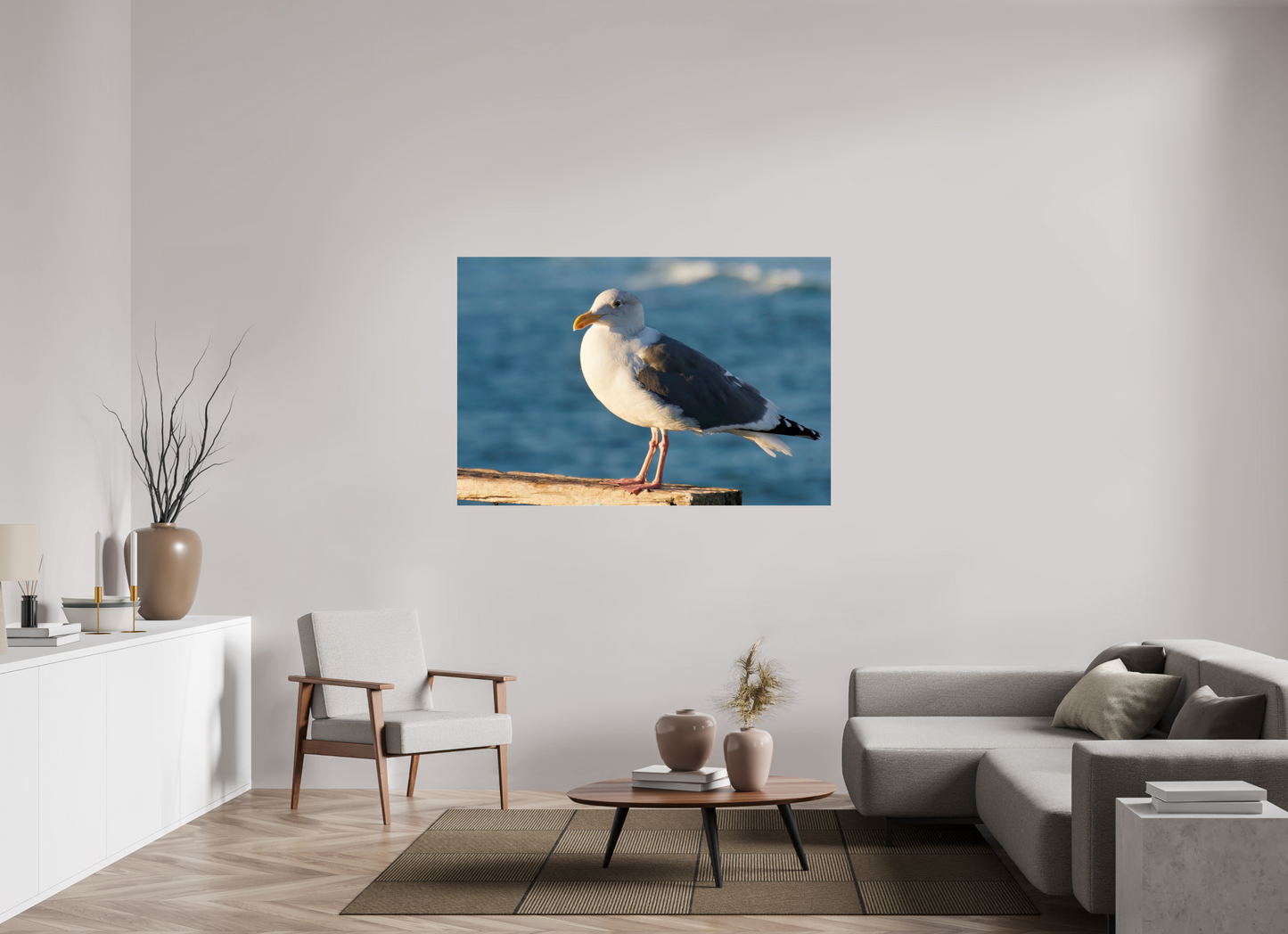 Admiral Gull - photo print under acrylic glass