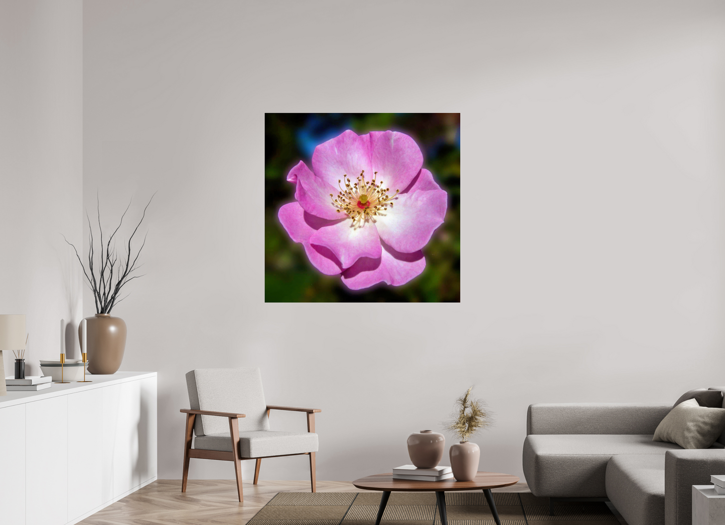 CalPoly Rose - photo print under acrylic glass