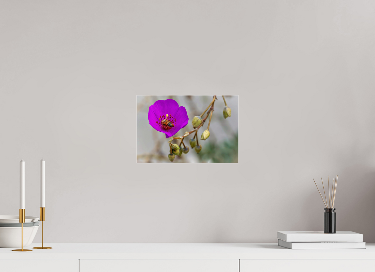 Bees' Work - photo print under acrylic glass