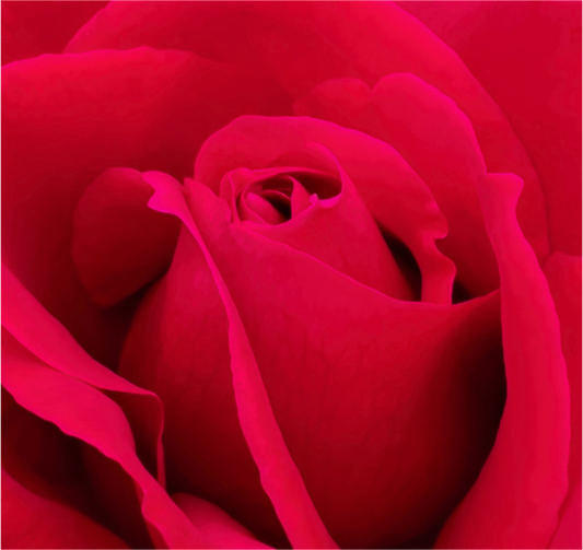 Seduction - photo print under acrylic glass