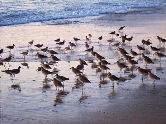 Rush Hour - photo print under acrylic glass